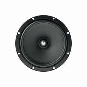 Focal ASE 165