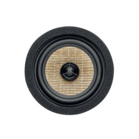 Focal IC MBZ 100 V2