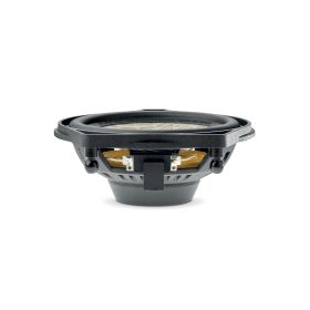 Focal ICC MBZ 100