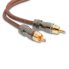 Focal EY 05